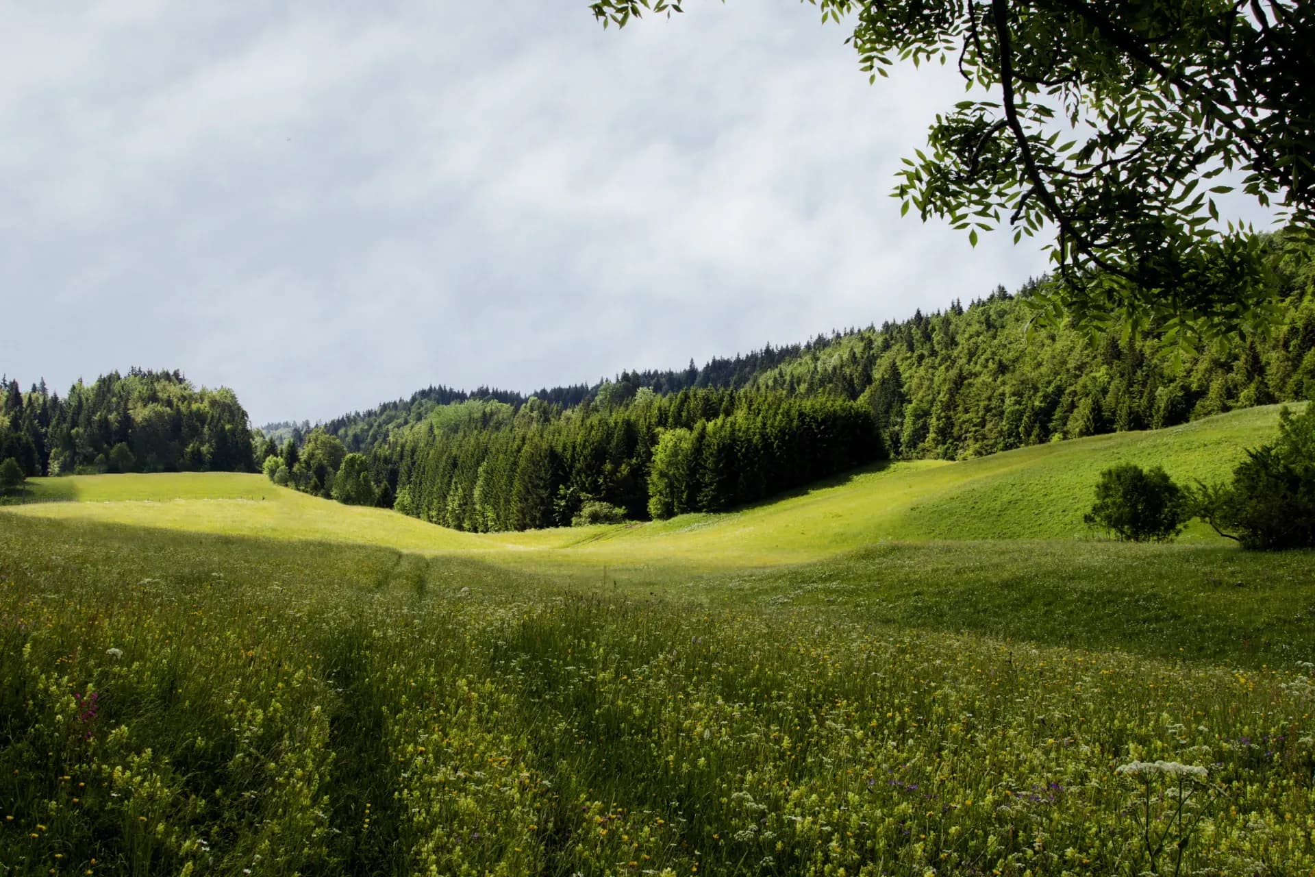 Camping im Jura